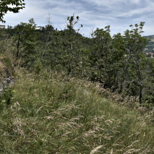 Castel Pizigolo, nei pressi del Monte Surano. Foto © Carlo Vannini