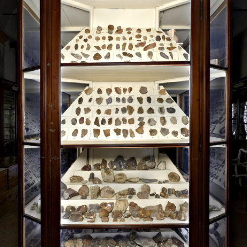 Museo Chierici - Età archeolitica